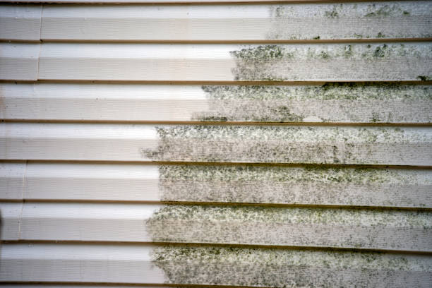 Best Weatherproofing and Sealing  in Auberry, CA