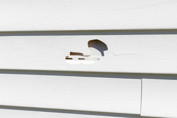Affordable siding repair and maintenance services in Auberry, CA
