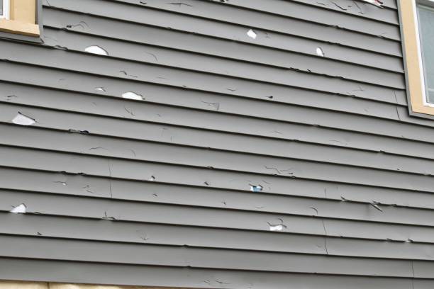 Best Composite Siding  in Auberry, CA
